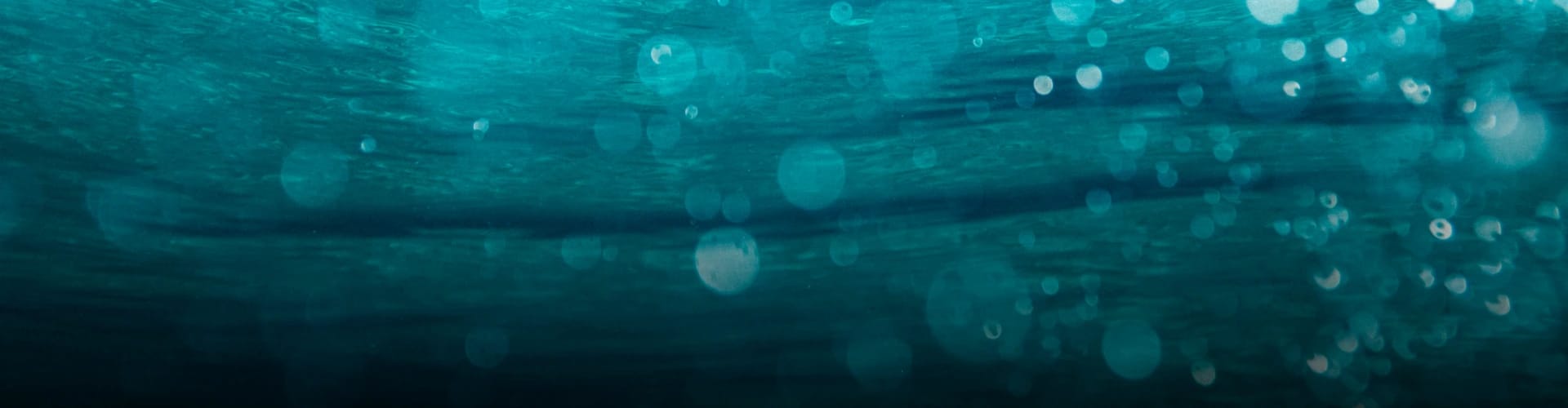 Underwater image that is a clear ocean blue with entrained bubbles.